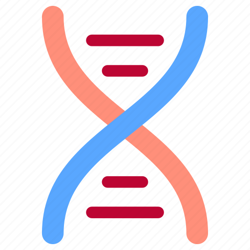 Anatomy, dna, structure, man, care, healthcare, medical icon - Download on Iconfinder