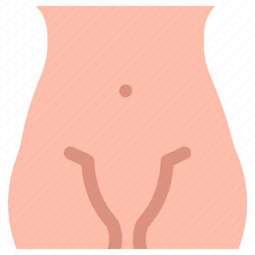 Anatomy, female, woman, hips, hip, navel, medical icon - Download on Iconfinder
