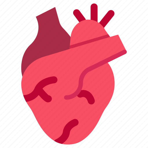 Anatomy, heart, blood, pumping, organ, part, person icon - Download on Iconfinder