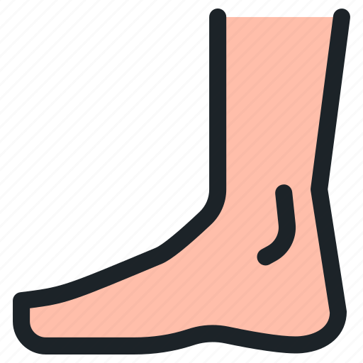 Leg, part, foot, feet, ankle, healthcare, medical icon - Download on Iconfinder