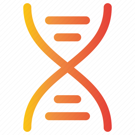 Anatomy, dna, structure, man, care, healthcare, medical icon - Download on Iconfinder