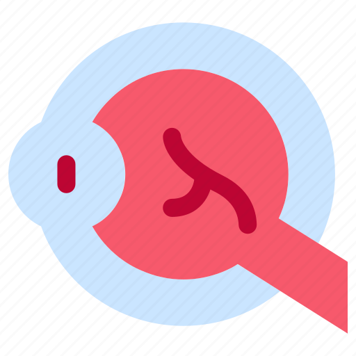 Anatomy, eye, nerves, organ, part, person, healthcare icon - Download on Iconfinder