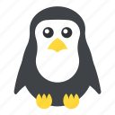 animal, auk, emperor penguin, penguin, puffin