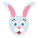 animal, bunny, cony, hare, rabbit