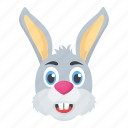animal, bunny, cony, hare head, rabbit face