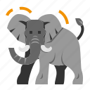 elephant, wildlife, zoo, animal