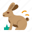 rabbit, bunny, pet, animal 
