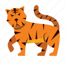 tiger, wildlife, zoo, animal