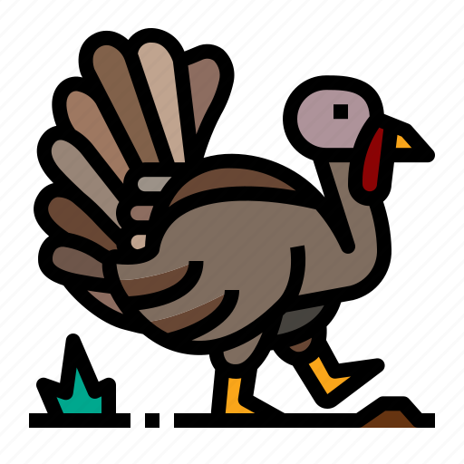 Turkey, chicken, zoo, animal icon - Download on Iconfinder