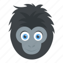 ape head, chimpanzee, gorilla, monkey face, wild animal