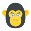 chimpanzee, gorilla, macaque, monkey face, zoo animal 