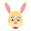 animal, bunny, cony, hare head, rabbit face 