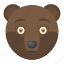 brown bear, forest grizzly bear, mammal, wild animal, wildlife 