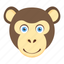 animal, chimpanzee face, happy gorilla, monkey, wildlife
