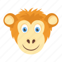 chimpanzee, gorilla, macaque, monkey face, zoo animal