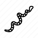 snake