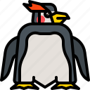 animal, bird, penguin, white, wildlife