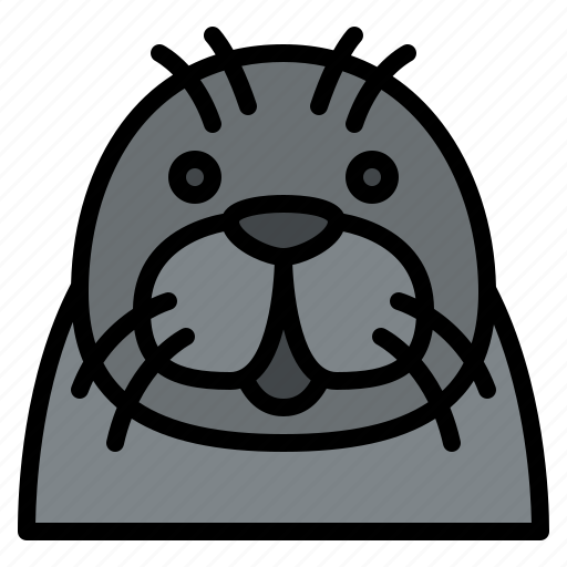 Seal, animal, face, avatar, nature, life, sea icon - Download on Iconfinder