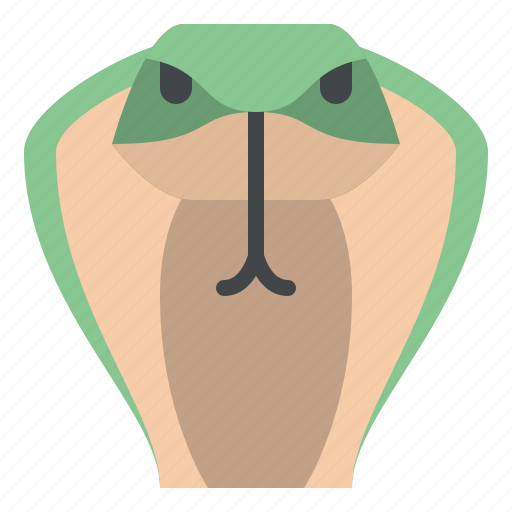 Cobra, animal, face, avatar, nature, wild, life icon - Download on Iconfinder