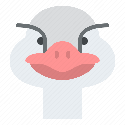 Ostrich, animal, face, avatar, nature, wild, life icon - Download on Iconfinder