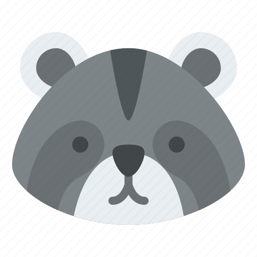 Raccoon, animal, face, avatar, nature, wild, life icon - Download on Iconfinder