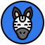 zebra, animals, zoo, wildlife, wild, life, fauna, animal, face 