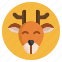 deer, animals, zoo, wildlife, wild, life, fauna, animal, face