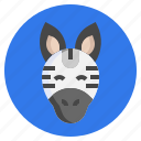 zebra, animals, zoo, wildlife, wild, life, fauna, animal, face