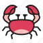 beach, crab, seafood, crustacean 