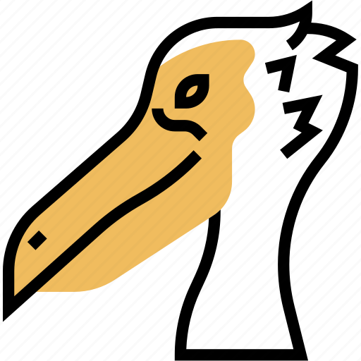 Pelican, beak, bird, waterfowl, wildlife icon - Download on Iconfinder