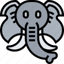 elephant, ivory, trunk, largest, wildlife 