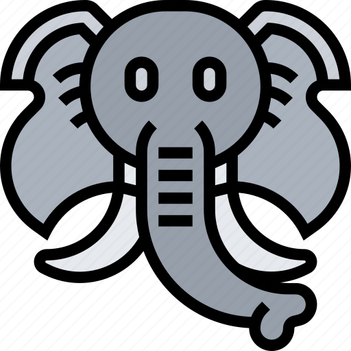 Elephant, ivory, trunk, largest, wildlife icon - Download on Iconfinder