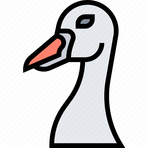 Swan, bird, neck, waterfowl, feather icon - Download on Iconfinder