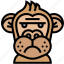 monkey, macaque, forest, primate, mammal 