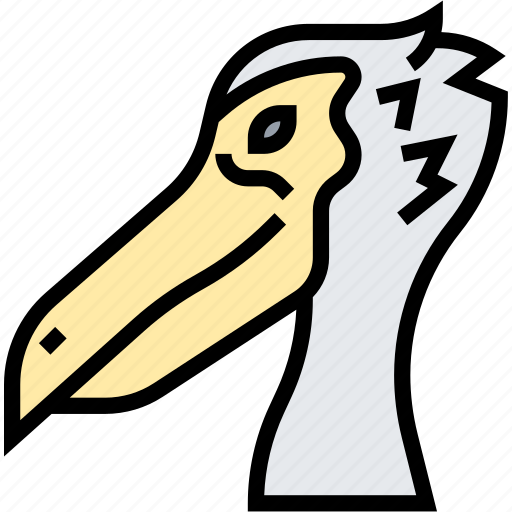 Pelican, beak, bird, waterfowl, wildlife icon - Download on Iconfinder
