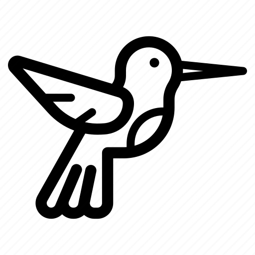 Bird, hummingbird icon - Download on Iconfinder