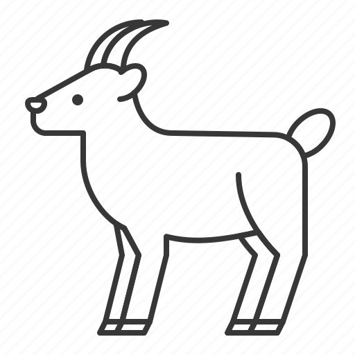 Animal, goat, mammal, wildlife, zoo icon - Download on Iconfinder