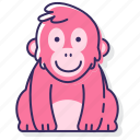 orangutan, ape, monkey