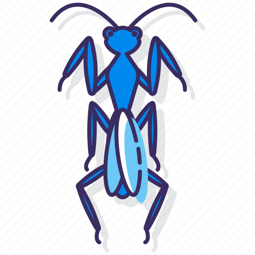 Mantis, praying, bug, insect icon - Download on Iconfinder
