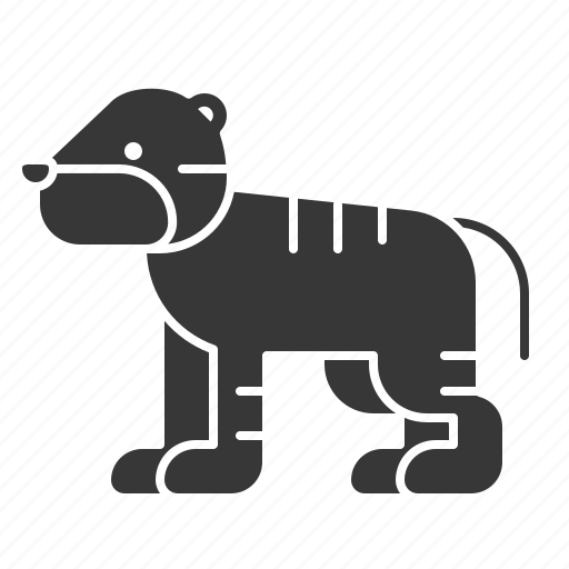 Animal, mammal, tiger, wildlife, zoo icon - Download on Iconfinder