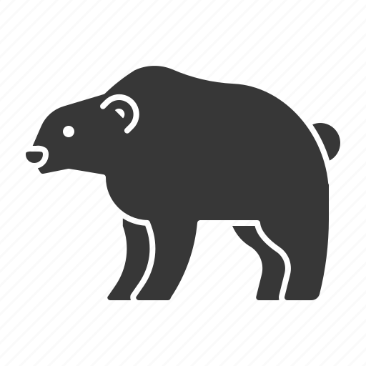 Animal, bear, mammal, wildlife, zoo icon - Download on Iconfinder