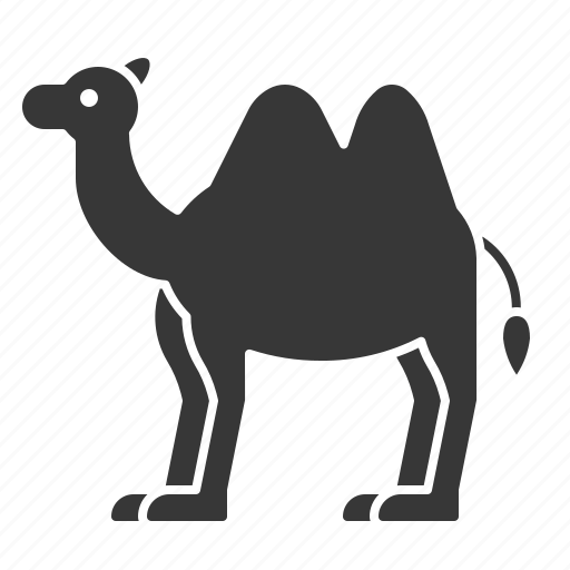 Animal, camel, mammal, wildlife, zoo icon - Download on Iconfinder