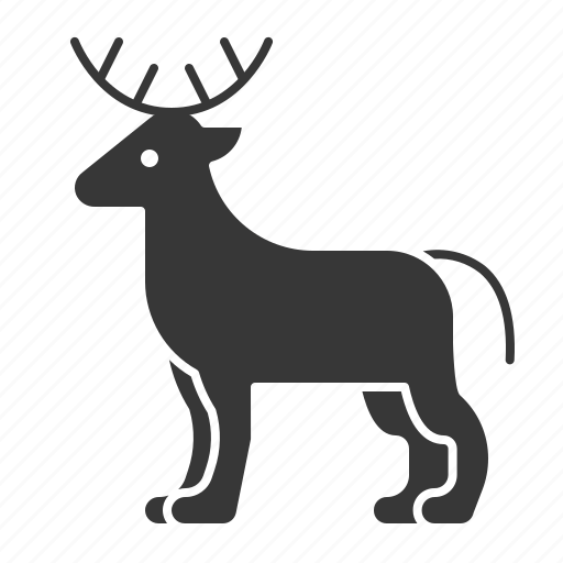 Animal, deer, mammal, wildlife, zoo icon - Download on Iconfinder