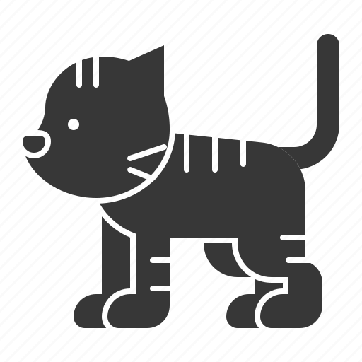 Animal, cat, mammal, wildlife, zoo icon - Download on Iconfinder