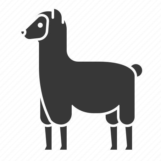 Alpaca, animal, llama, mammal, wildlife, zoo icon - Download on Iconfinder