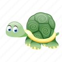turtle, animal