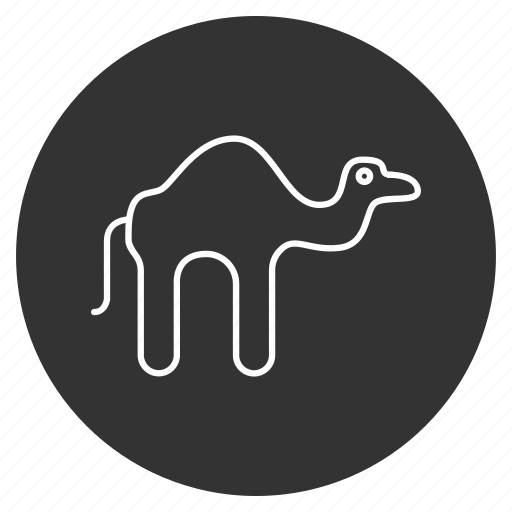 Animal, camel, desert traveller, domestic, egypt, egyptian, mammal icon - Download on Iconfinder