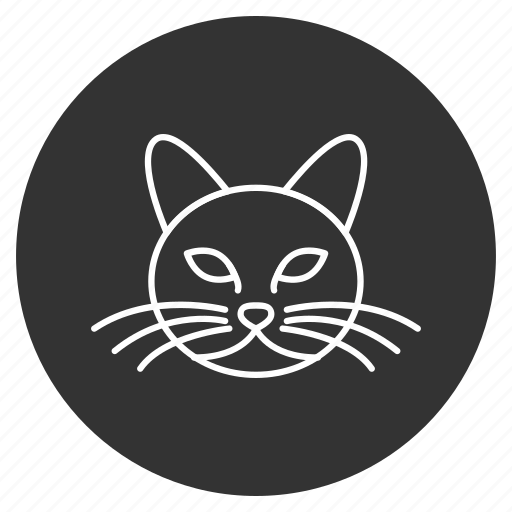 Cat, head, kitten, kitty, pet, pussycat, tomcat icon - Download on Iconfinder