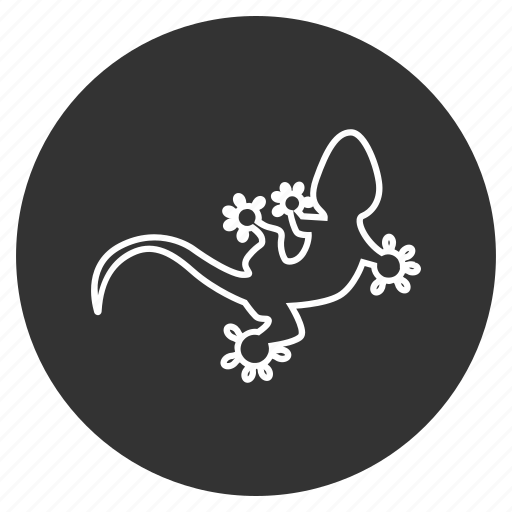 Animal, crawl, creep, gecko, lizard, reptile, salamander icon - Download on Iconfinder