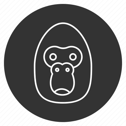 Animal, ape, face, gorilla, head, monkey, wildlife icon - Download on Iconfinder